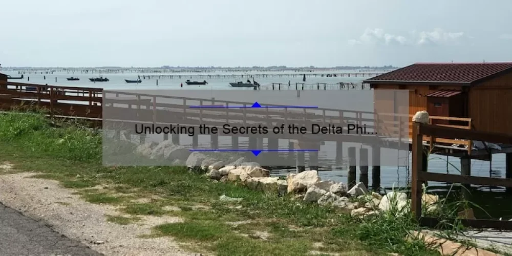 Unlocking the Secrets of the Delta Phi Epsilon Sisterhood Badge: A Story of Sisterhood, Statistics, and Solutions [Ultimate Guide]