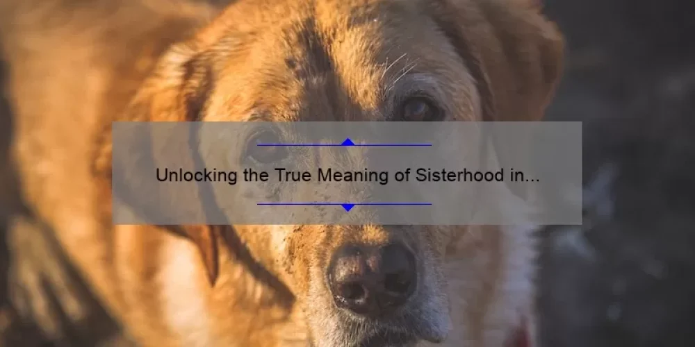 Unlocking the True Meaning of Sisterhood in a Sorority