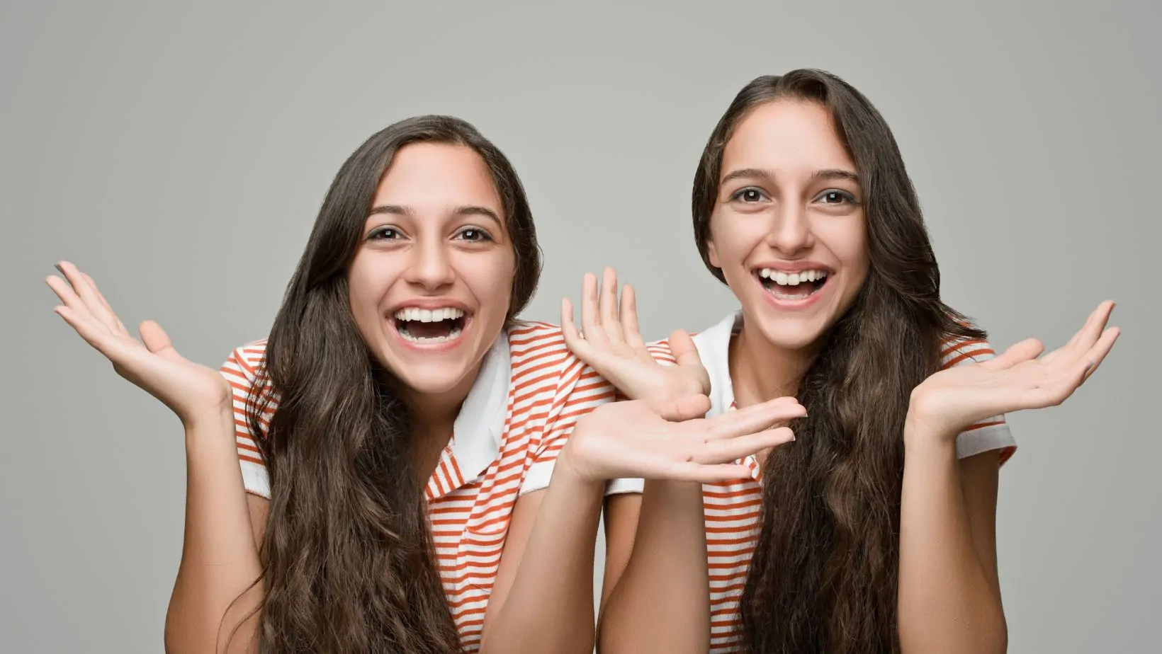 Sister Noella Cheese Where to Buy and Where to Find