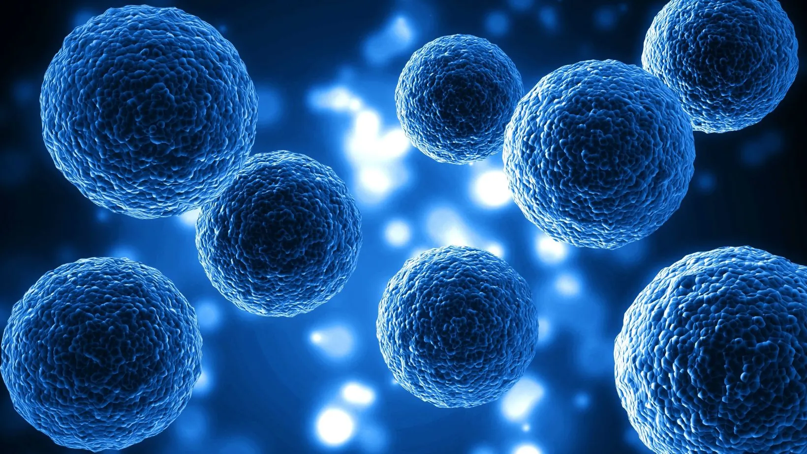 If a Cell is 2N-38, This Means: Future of Humanity
