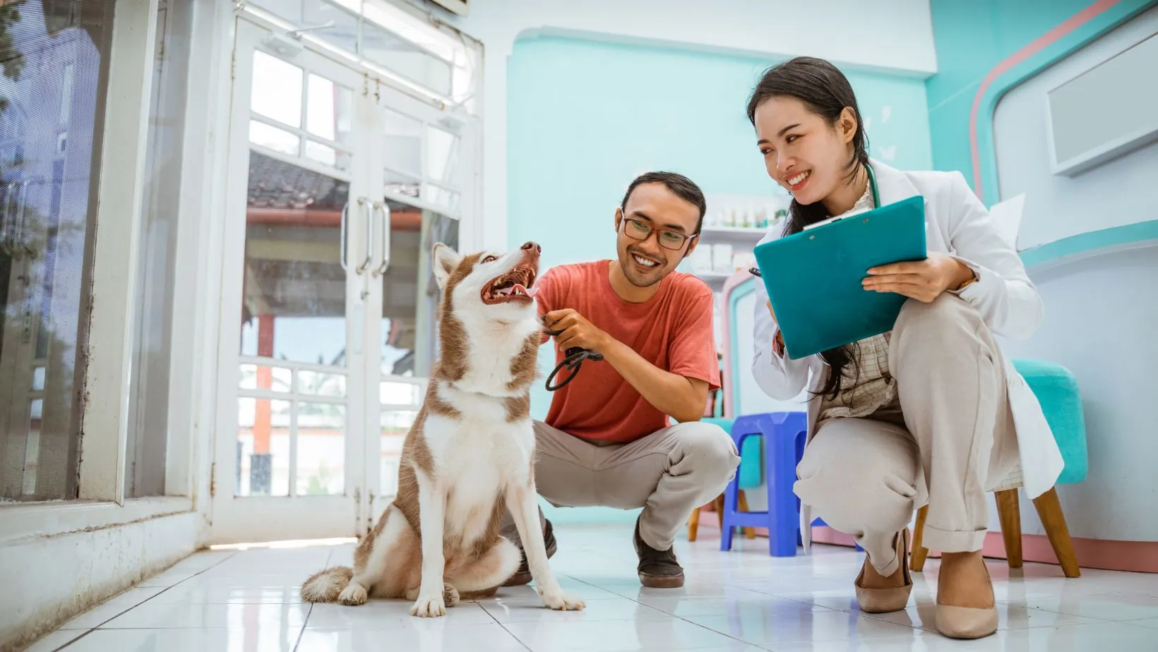 petshop terdekat dari lokasi saya