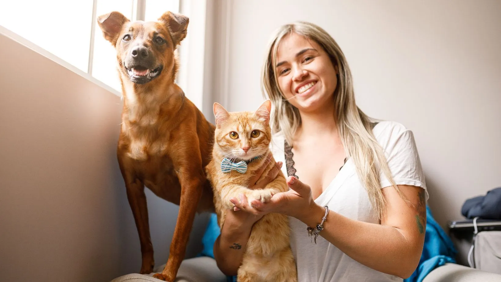 petshop terdekat dari lokasi saya