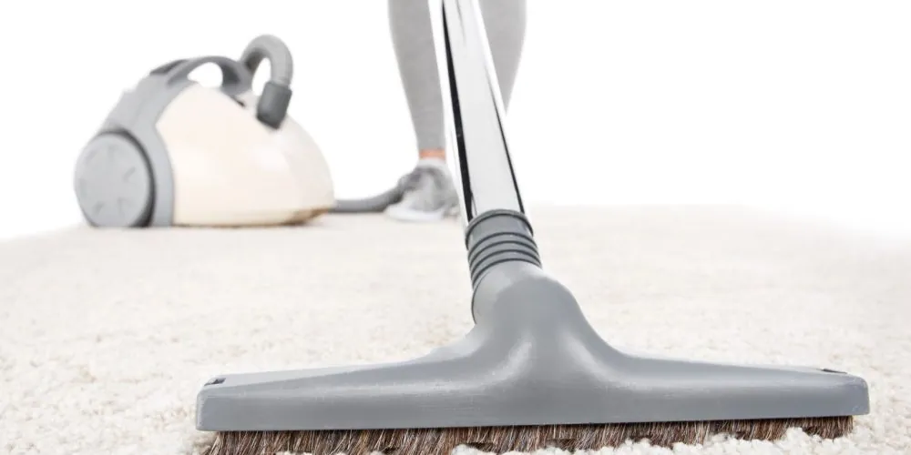 Shark Vacuum Parts Filter