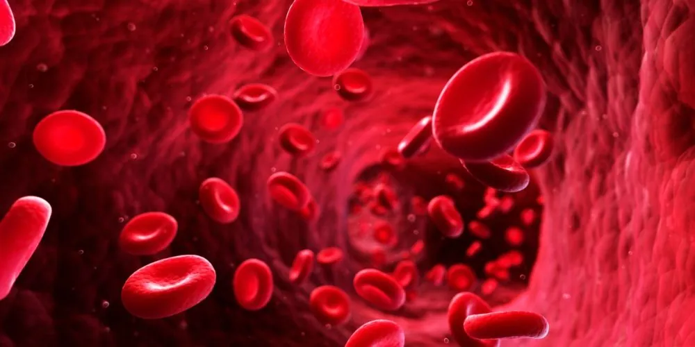 if a cell is 2n-38, this means: