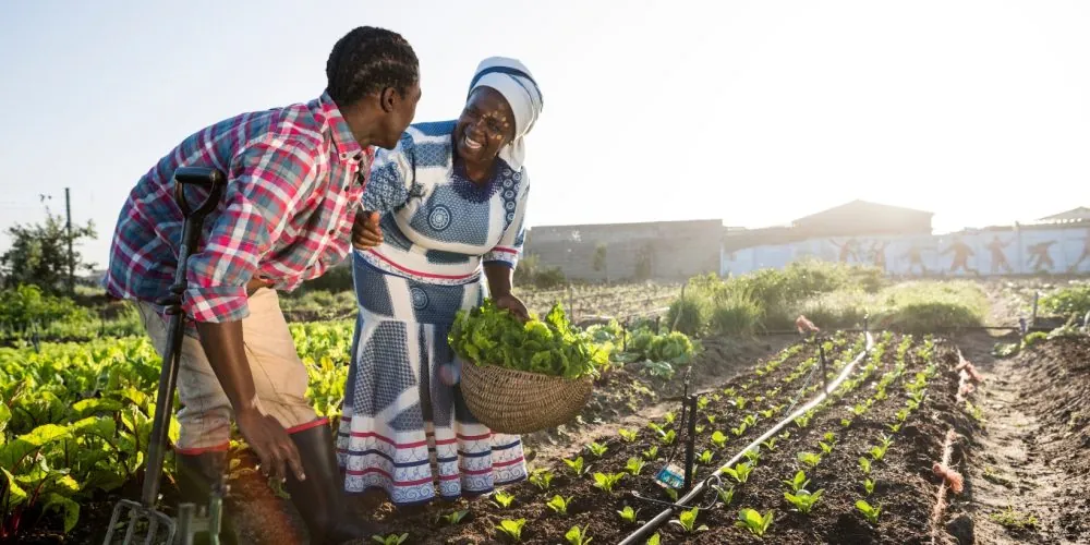 what does big brothers big sisters do what does big brothers big sisters do