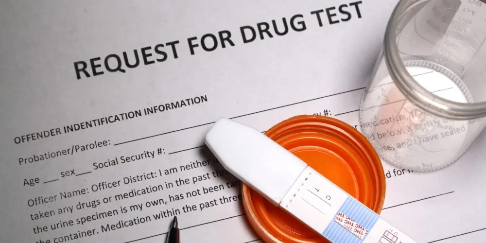 can my sister take my drug test